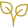 leaf90-90